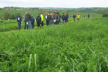 Comptoir-agricole-fourrage- (6).JPG