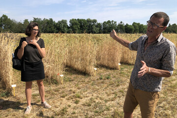 Ferme_Moyses_conservatoires_cereales_anciennes_ble_champs_pains_visites_Feldkirch_Moissons_2023_163.