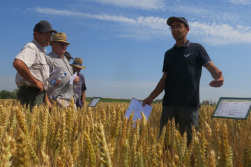 Comptoir-agricole-blé- (9).JPG